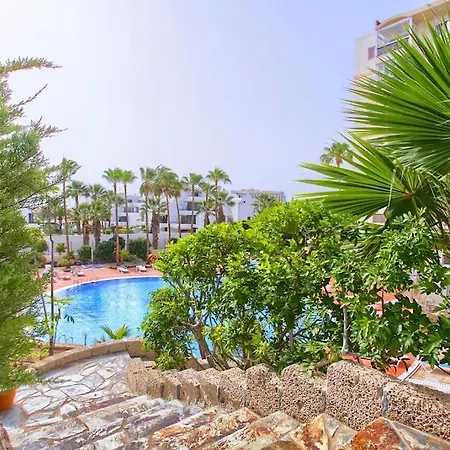 Cecilia Apartmentplaya De Americas Apartment Playa de las Americas (Tenerife)